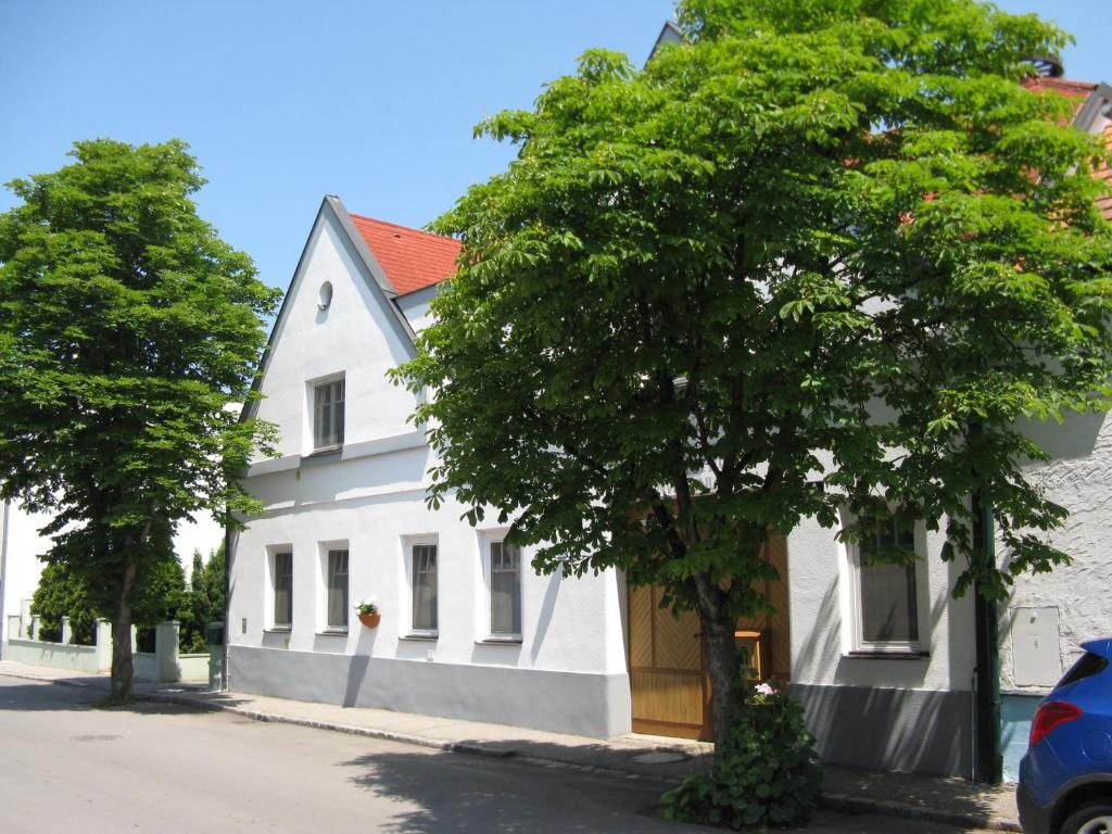 Stieglerhof Kg -Apartments Illmitz- Bagian luar foto